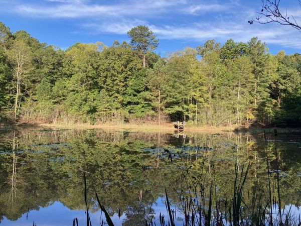 2354 Elders Mill Road, See Remarks, FL 00000