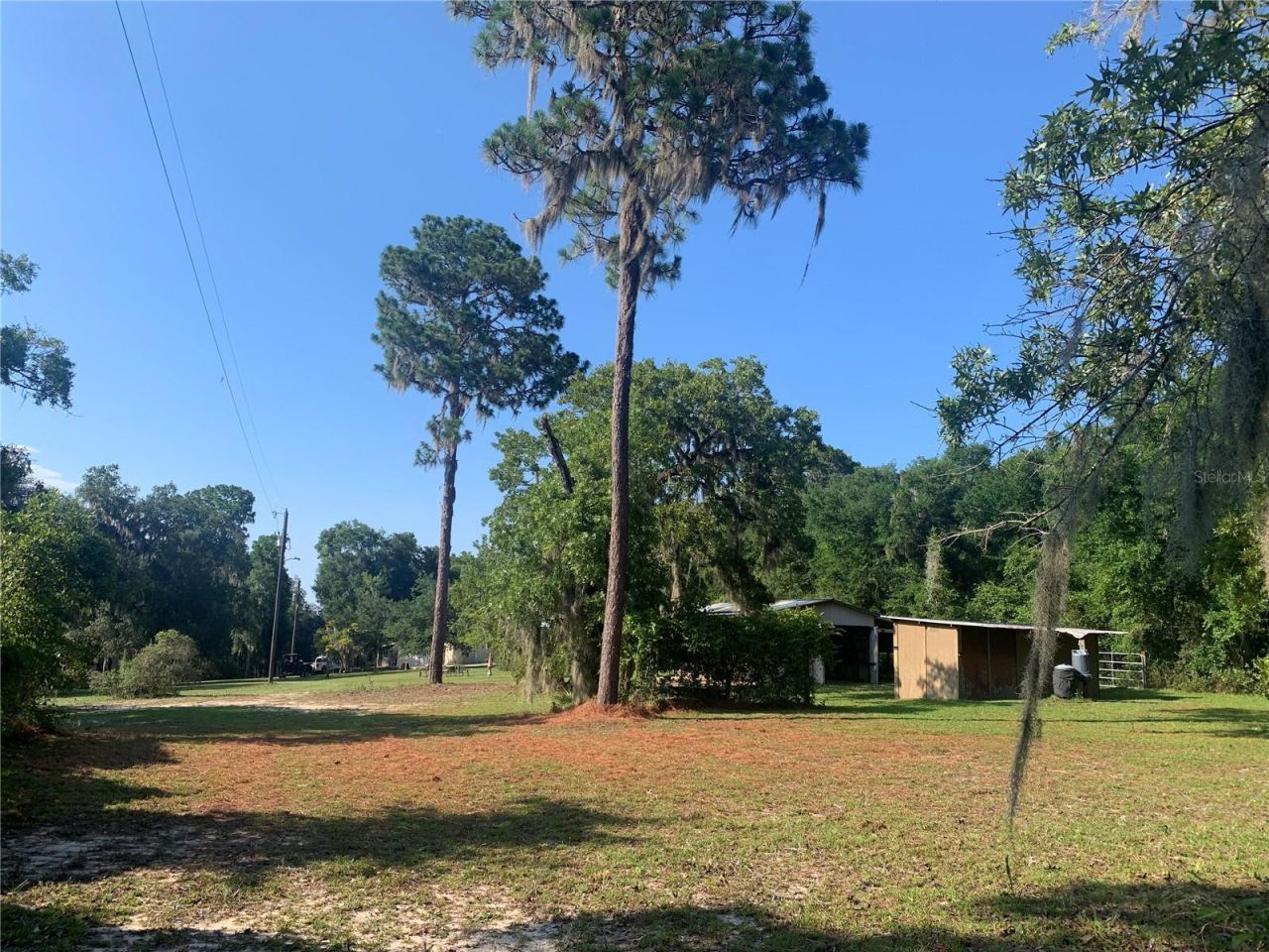 24605 And 24645 NE 177th Terrace , Fort Mc Coy, FL 32134 Photo