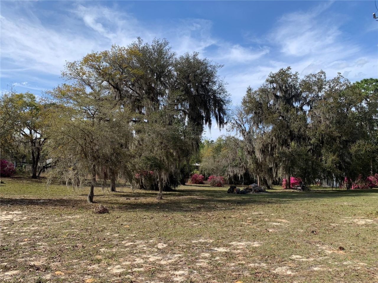 24605 And 24645 NE 177th Terrace , Fort Mc Coy, FL 32134 Photo