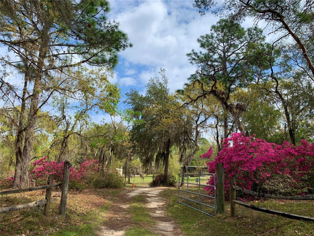 24605 And 24645 NE 177th Terrace , Fort Mc Coy, FL 32134 Photo