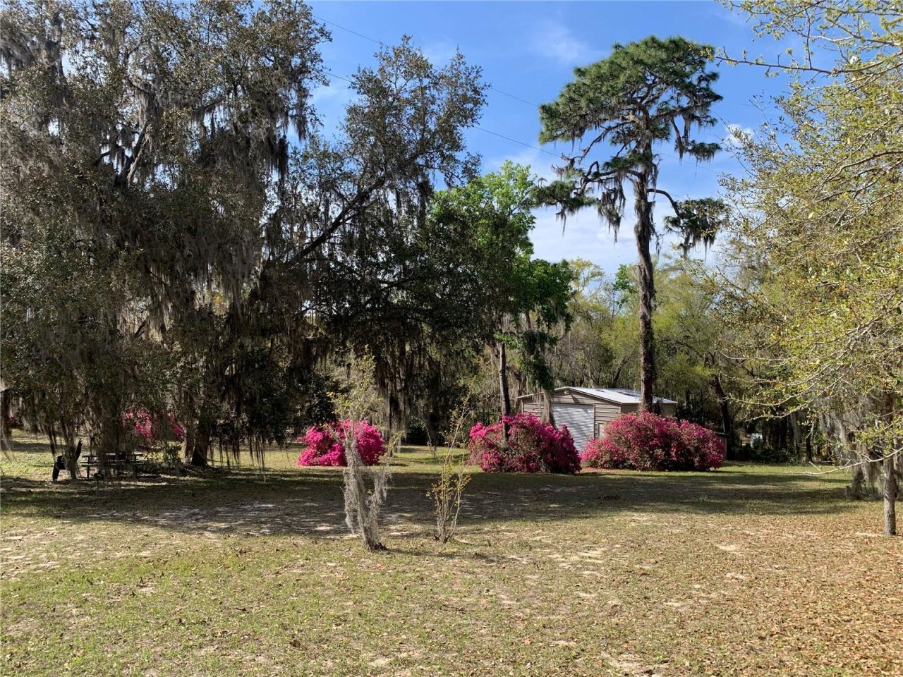 24605 And 24645 NE 177th Terrace , Fort Mc Coy, FL 32134 Photo