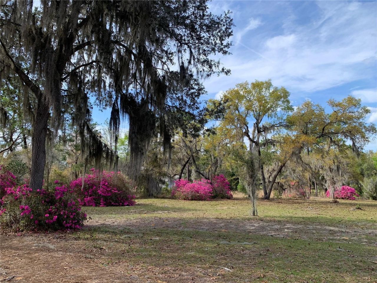 24605 And 24645 NE 177th Terrace , Fort Mc Coy, FL 32134 Photo