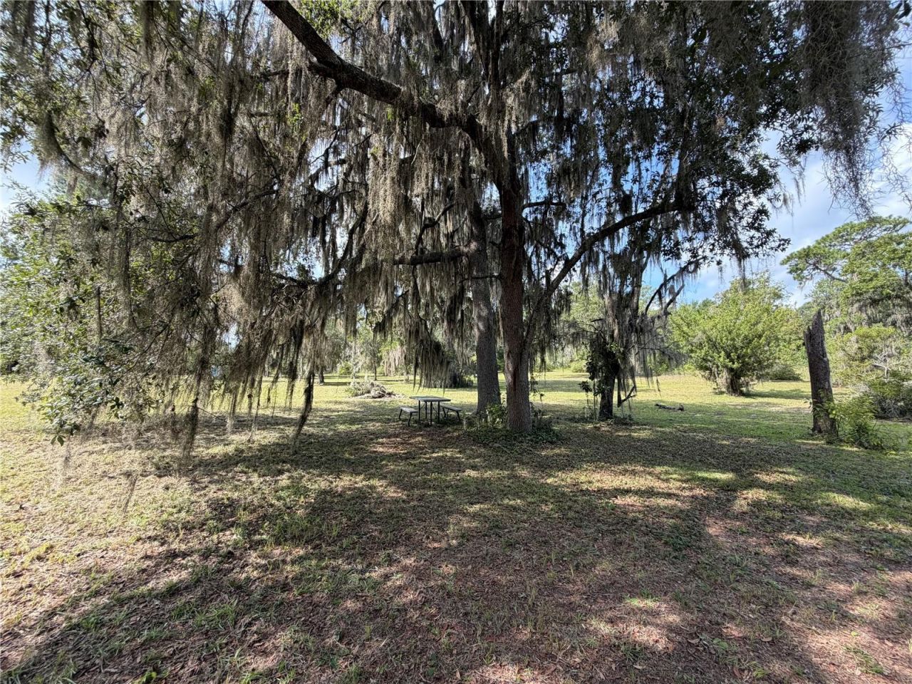 24605 And 24645 NE 177th Terrace , Fort Mc Coy, FL 32134 Photo