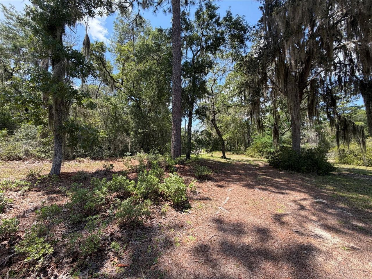 24605 And 24645 NE 177th Terrace , Fort Mc Coy, FL 32134 Photo