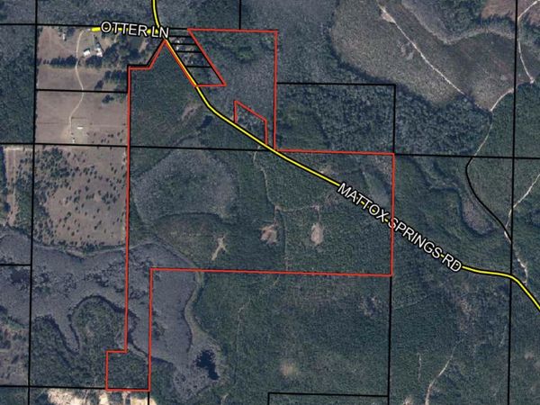 TBD Mattox Springs Road, Caryville, FL 32427