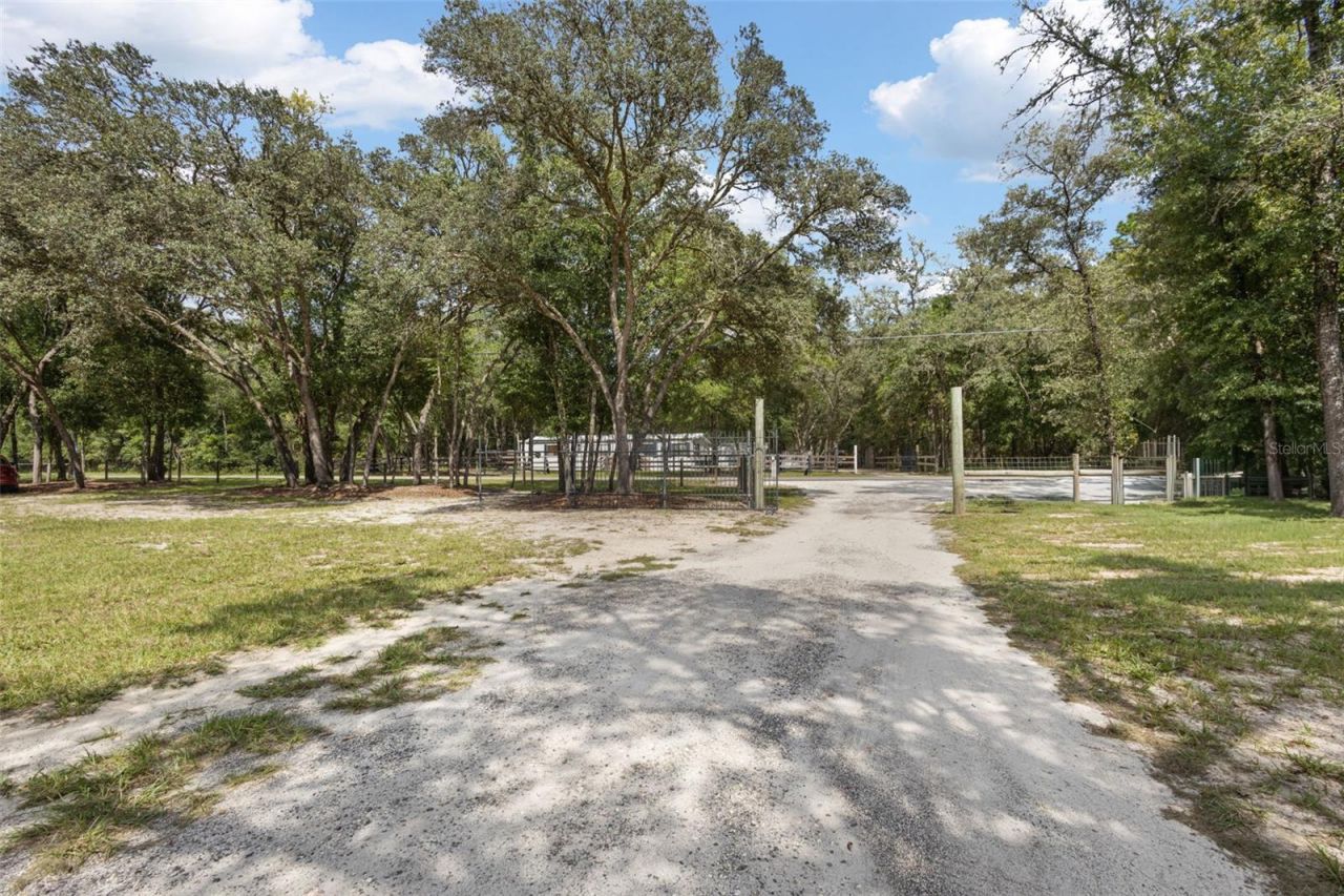 7650 NE 105th Avenue , Bronson, FL 32621 Photo