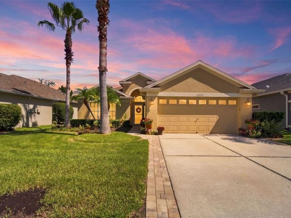 23737 ESTERO COURT , LAND O LAKES, FL 34639