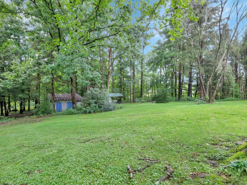 3557 E State Route 60 NE, McConnelsville, OH 43756 Photo 47