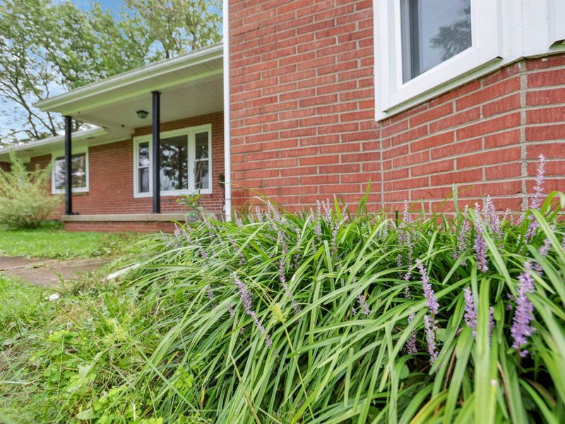 3557 E State Route 60 NE, McConnelsville, OH 43756 Photo 66