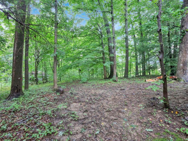 3557 E State Route 60 NE, McConnelsville, OH 43756 Photo 81