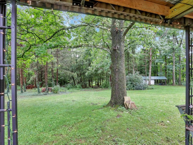 3557 E State Route 60 NE, McConnelsville, OH 43756 Photo 84