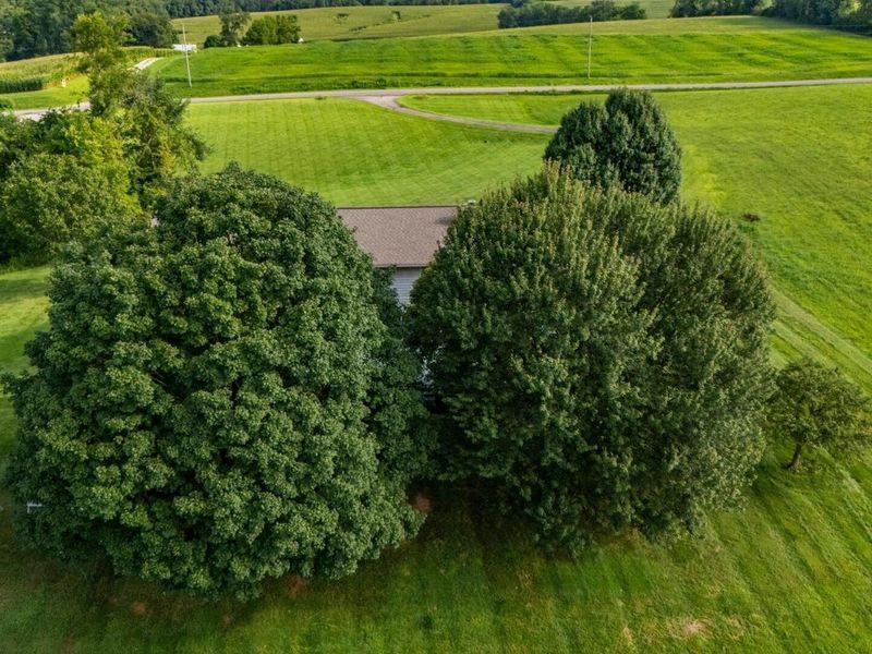 4225 Winegardner Road NW, Somerset, OH 43783 Photo 85