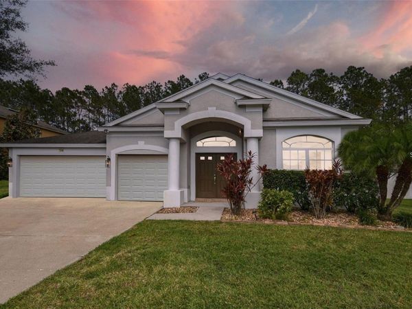 7346 CRESCENT PALM DRIVE , WESLEY CHAPEL, FL 33545