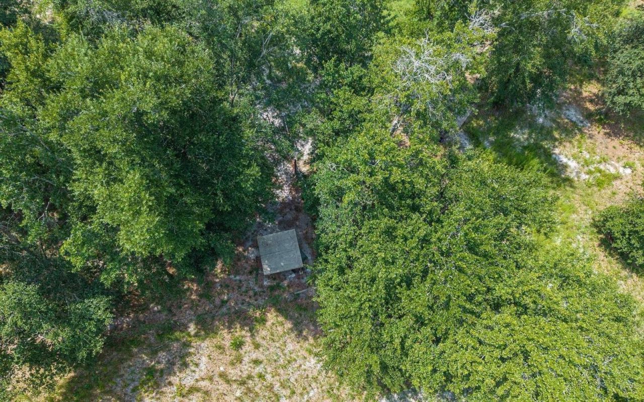 12329 176th Street , Mc Alpin, FL 32062 Photo