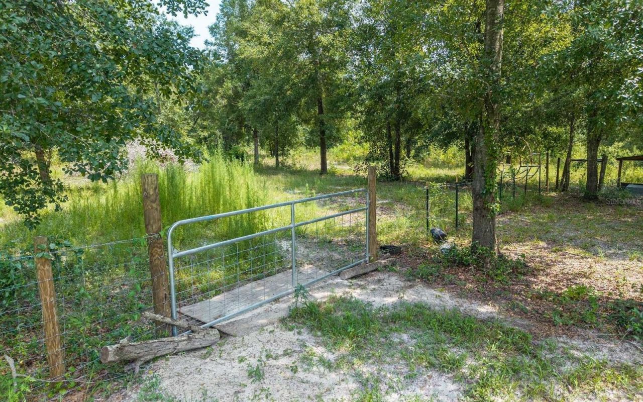 12329 176th Street , Mc Alpin, FL 32062 Photo