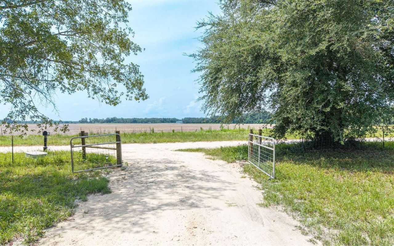 12329 176th Street , Mc Alpin, FL 32062 Photo