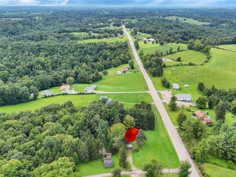 3557 E State Route 60 NE, McConnelsville, OH 43756 Photo 25