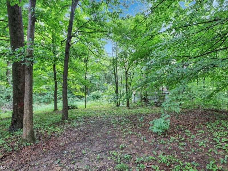 3557 E State Route 60 NE, McConnelsville, OH 43756 Photo 42