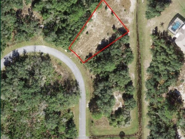 1621 PICKEREL COURT , POINCIANA, FL 34759