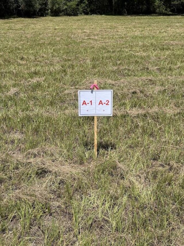 7817 Little Britton Road (lot A-1) Photo 4