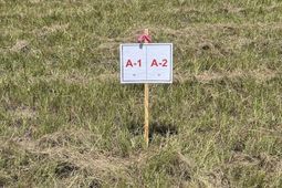 7817 Little Britton Road (lot A-1) photo 4