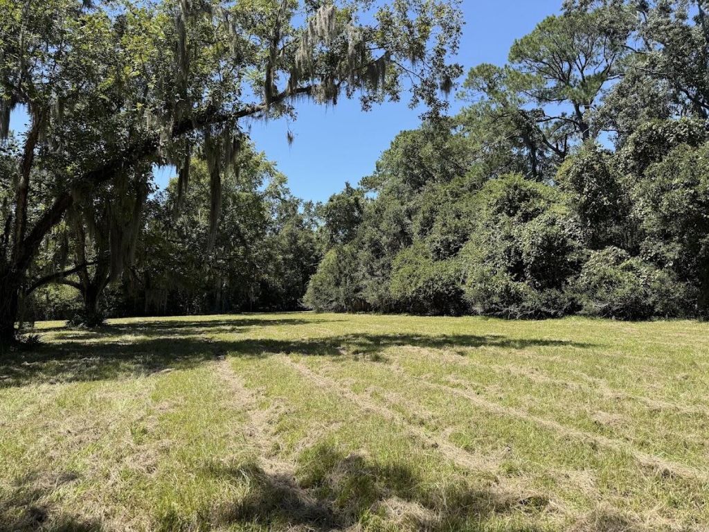 7817 Little Britton Road (lot A-4) Photo 10