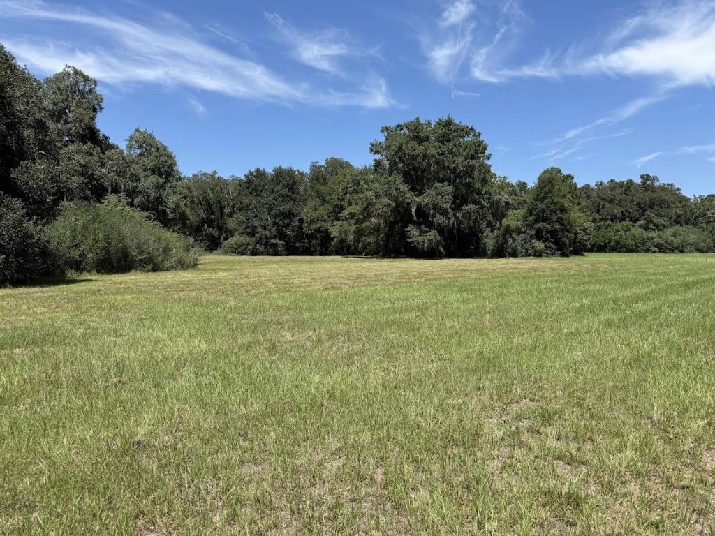 7817 Little Britton Road (lot A-4) Photo 11
