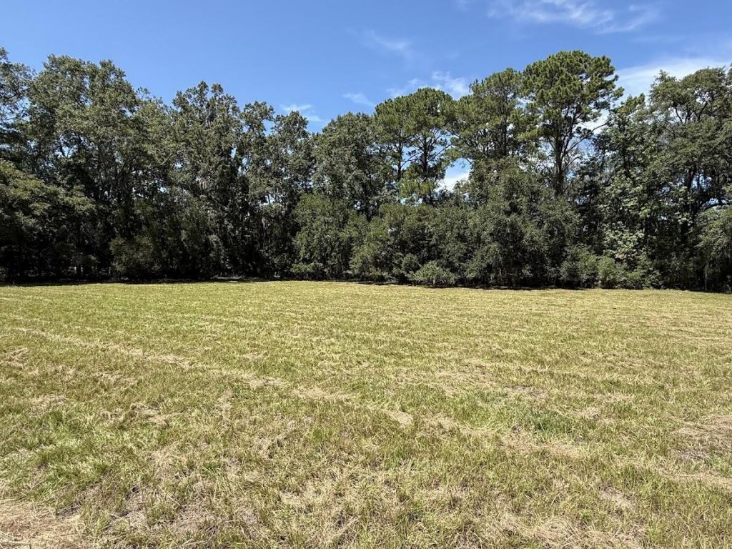 7817 Little Britton Road (lot A-4) Photo 4