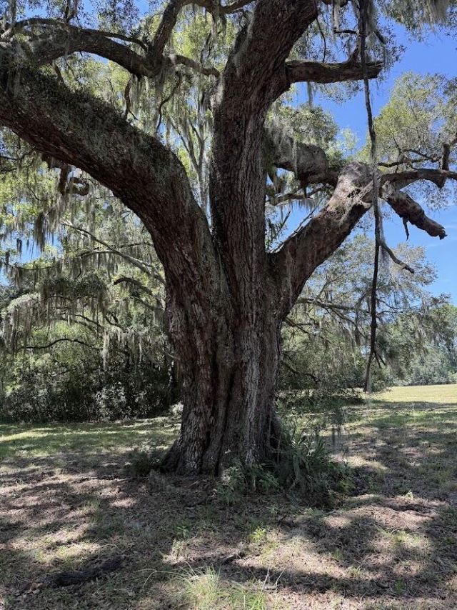 7817 Little Britton Road (lot A-4) Photo 6
