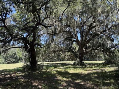 7817 Little Britton Road(Lot C-1-A), Meggett, SC 29449