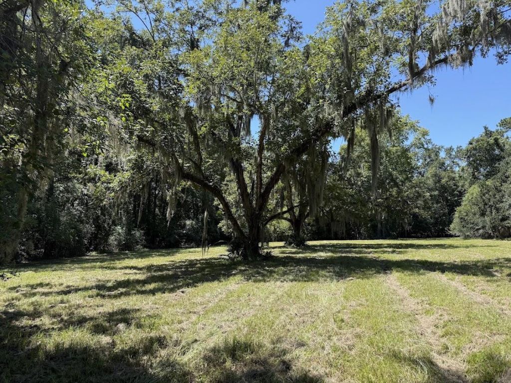 7817 Little Britton Road(lot C-1-a) Photo 11