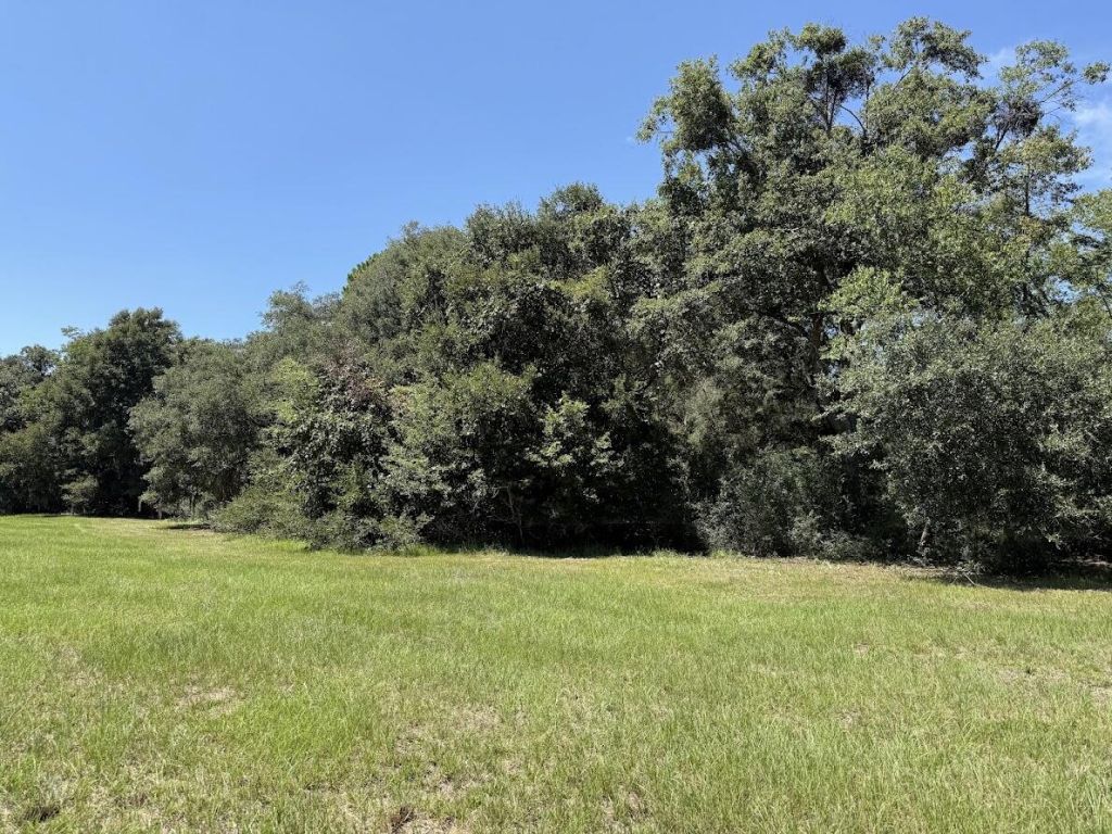 7817 Little Britton Road(lot C-1-a) Photo 14