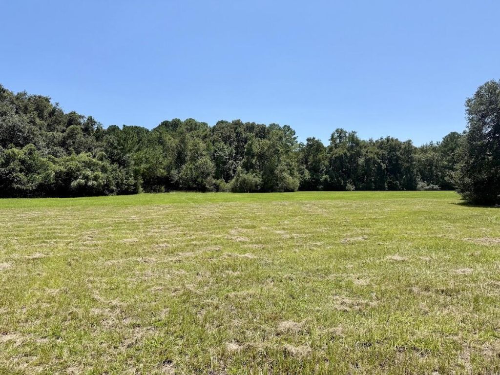 7817 Little Britton Road(lot C-1-a) Photo 19