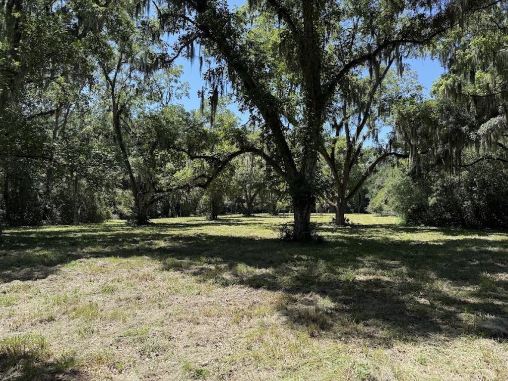 7817 Little Britton Road(lot C-1-a) Photo 9