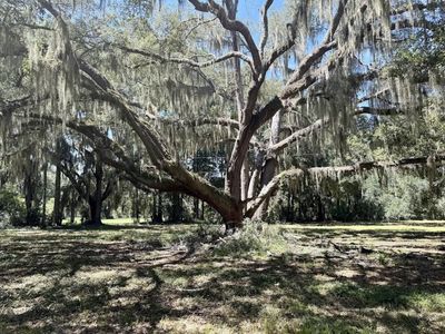7817 Little Britton Road(Lot C-1-B), Meggett, SC 29449