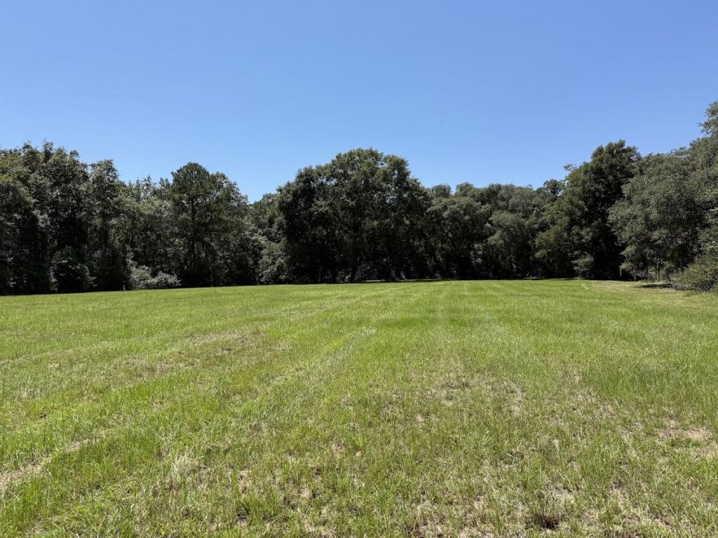 7817 Little Britton Road(lot C-1-b) Photo 13