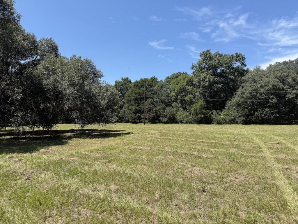 7817 Little Britton Road(lot C-1-b) Photo 14