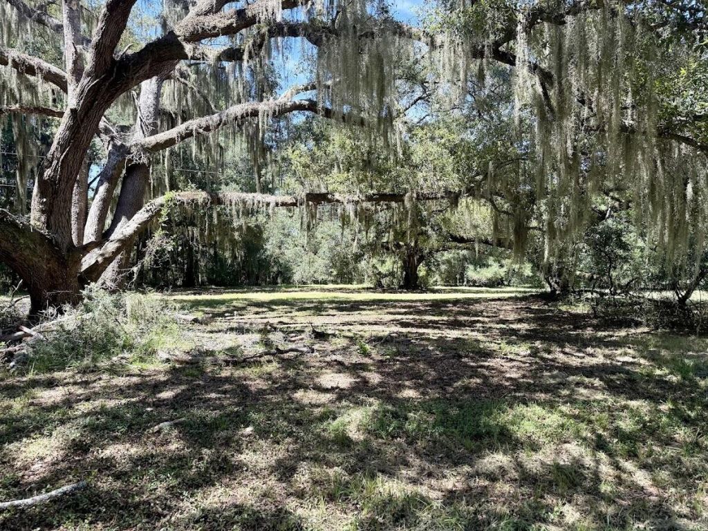 7817 Little Britton Road(lot C-1-b) Photo 17