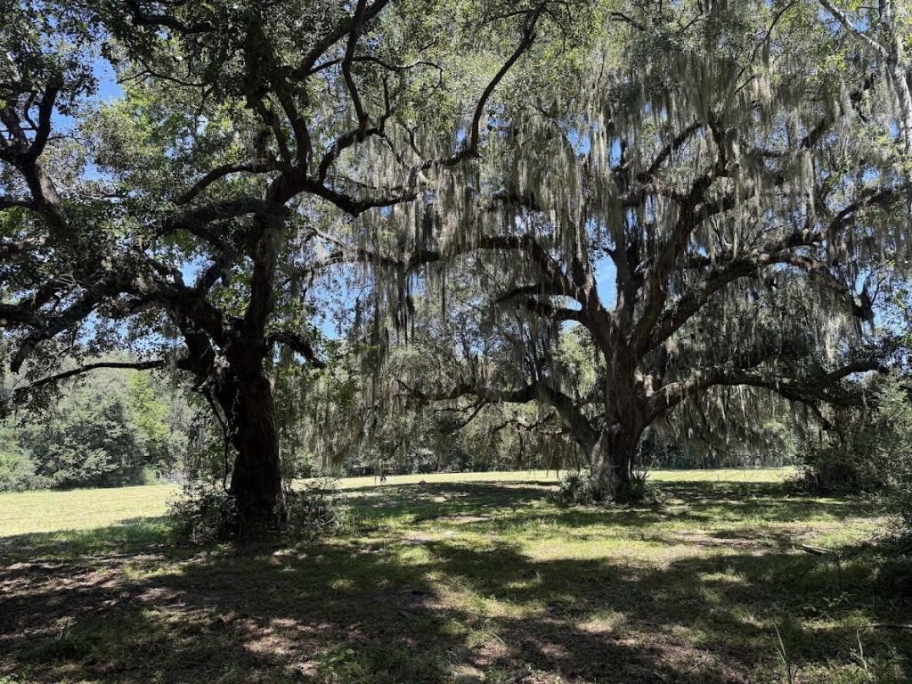 7817 Little Britton Road(lot C-1-b) Photo 18