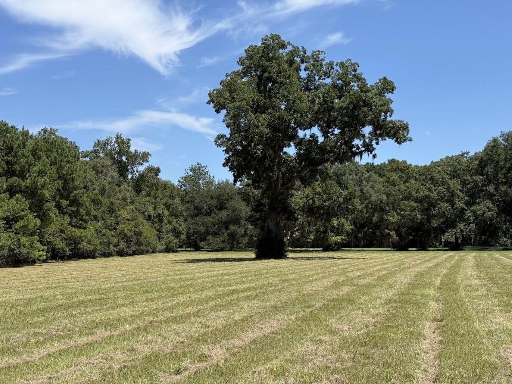 7817 Little Britton Road(lot C-1-b) Photo 5