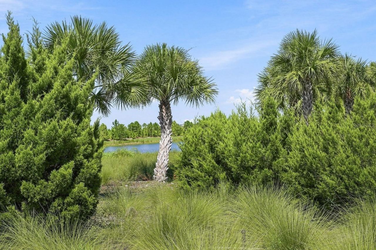 17556 Corkwood Bend Trail, Punta Gorda, FL 33982 Photo