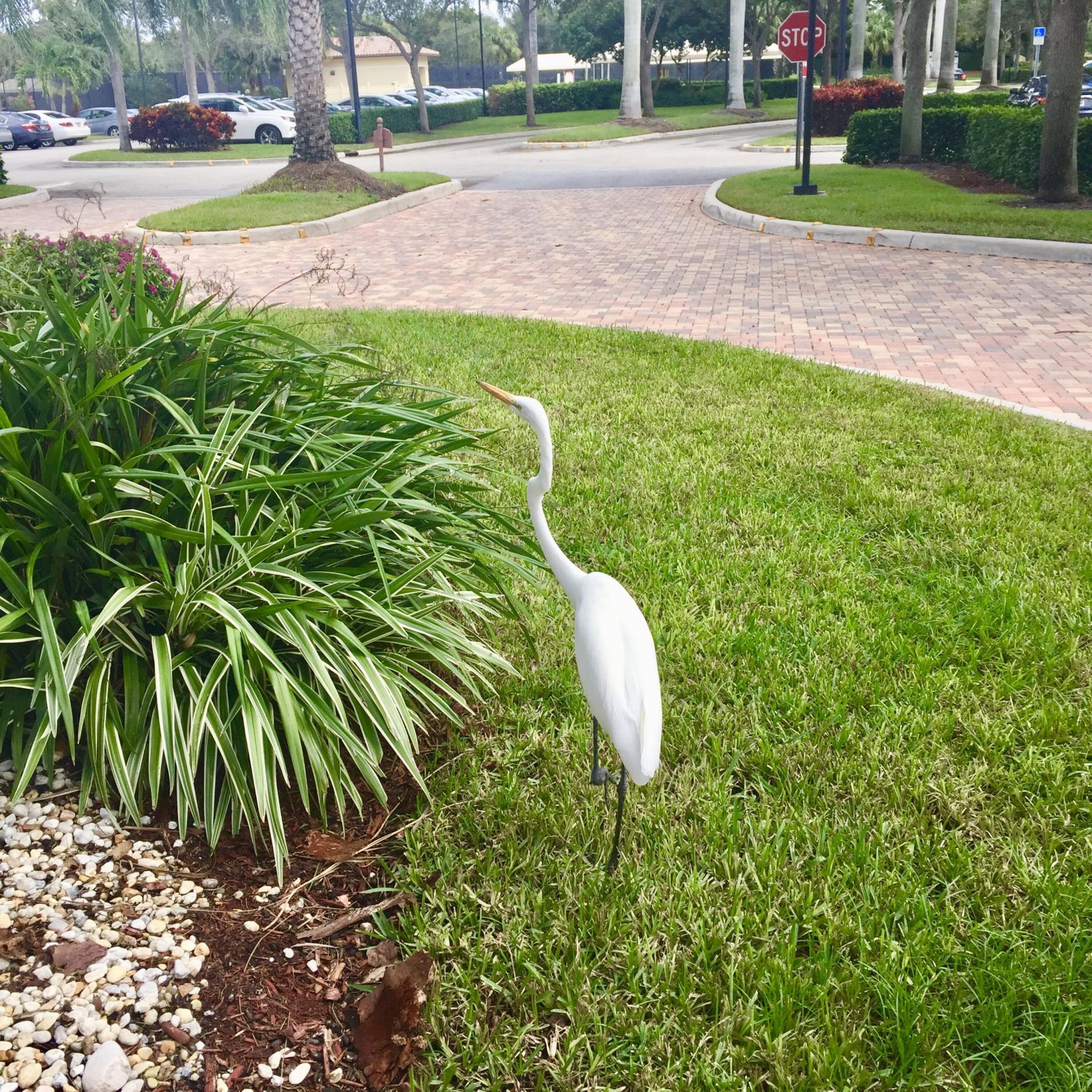 7326 Cortes Lake Drive, Delray Beach, FL 33446 Photo