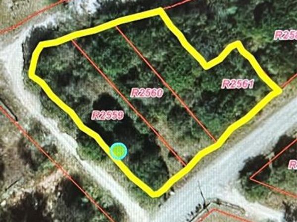 3003 Wagon Train Trail, Granbury, TX 76048