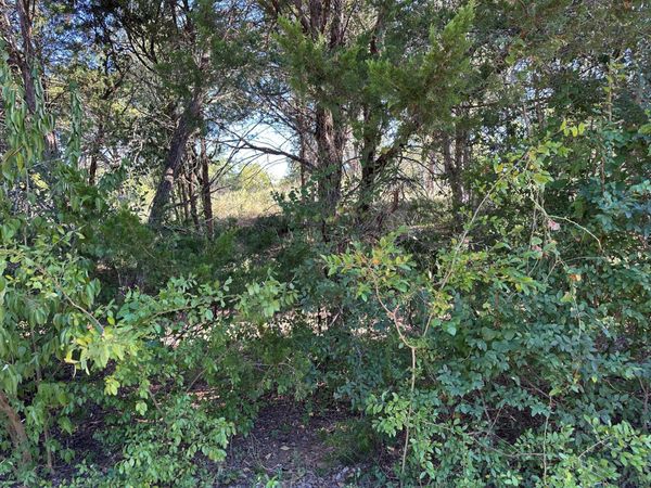 LOT 9 Robin RUN, Bastrop, TX 78602
