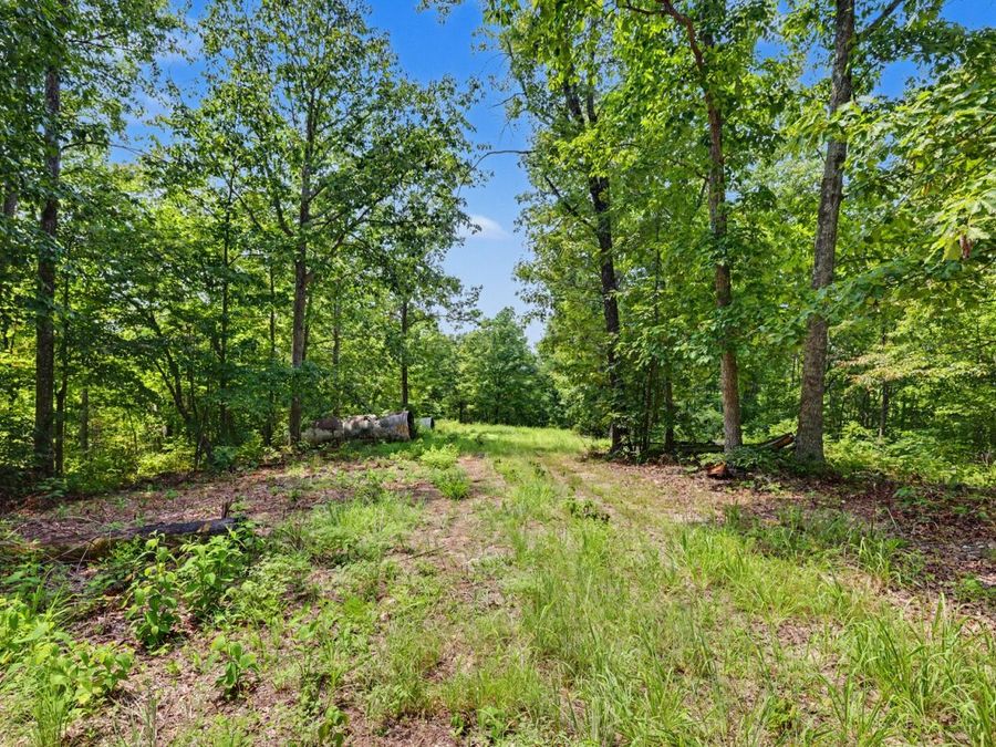 Property Image 18