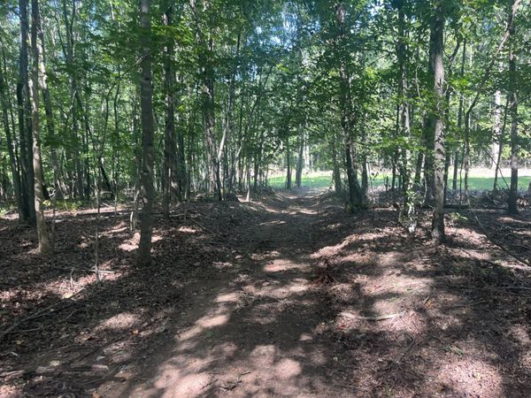 0 Scott Ln , Iron City, TN 38463