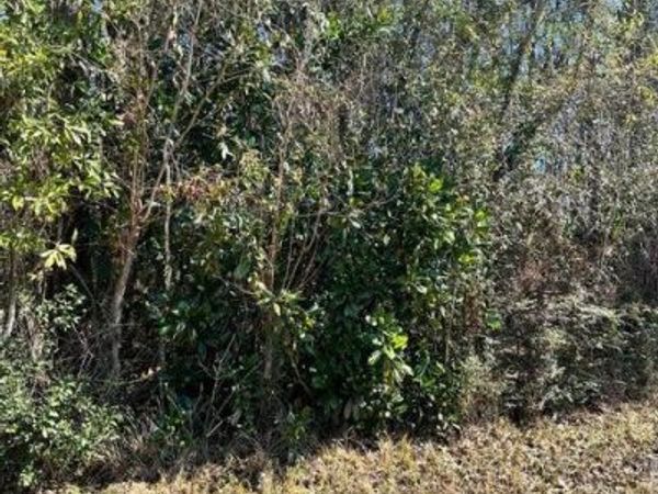 00 Mary Edith Street, Ocean Springs, MS 39564