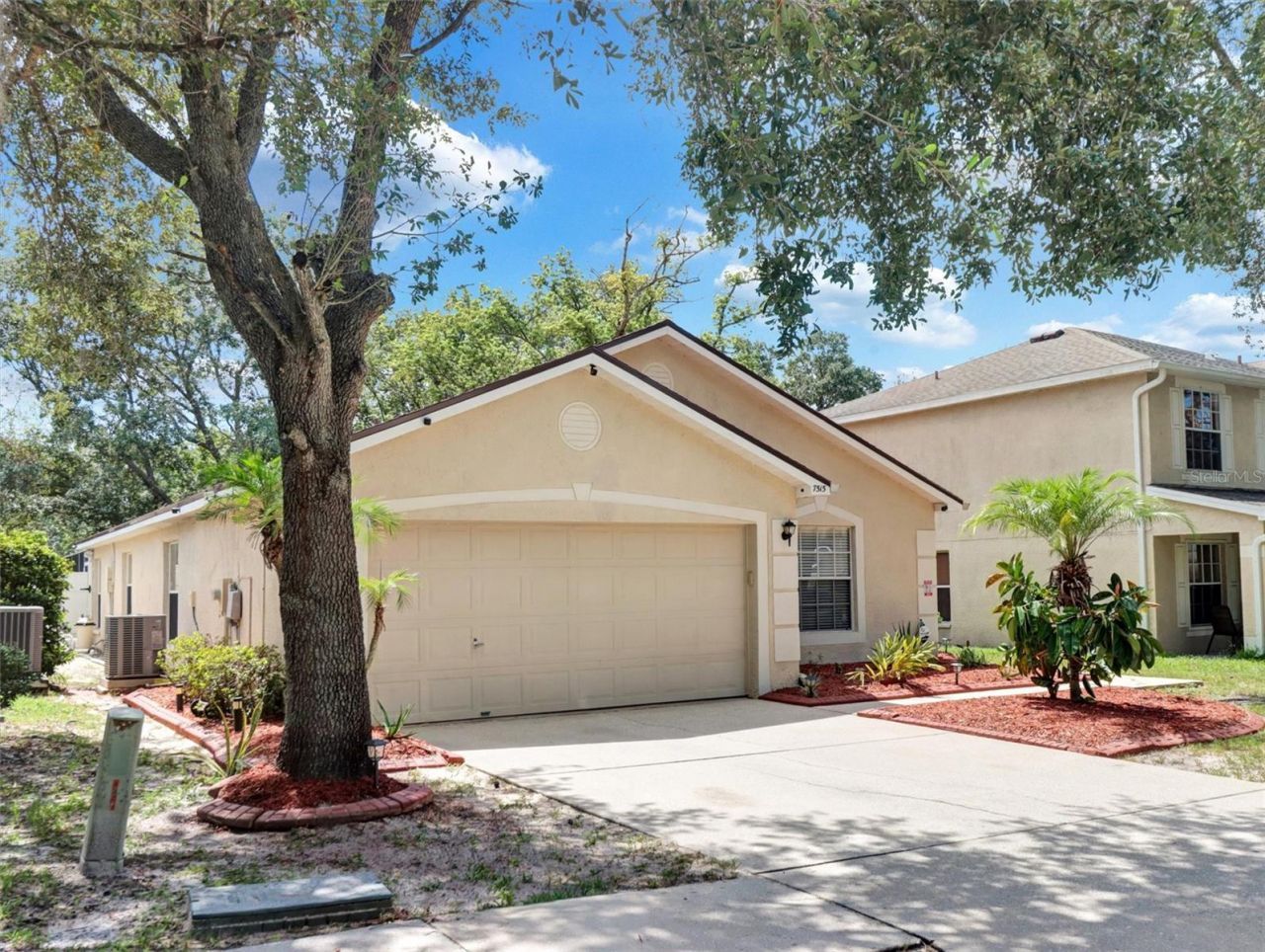 7515 Terrace River Drive, Temple Terrace, FL 33637 Photo