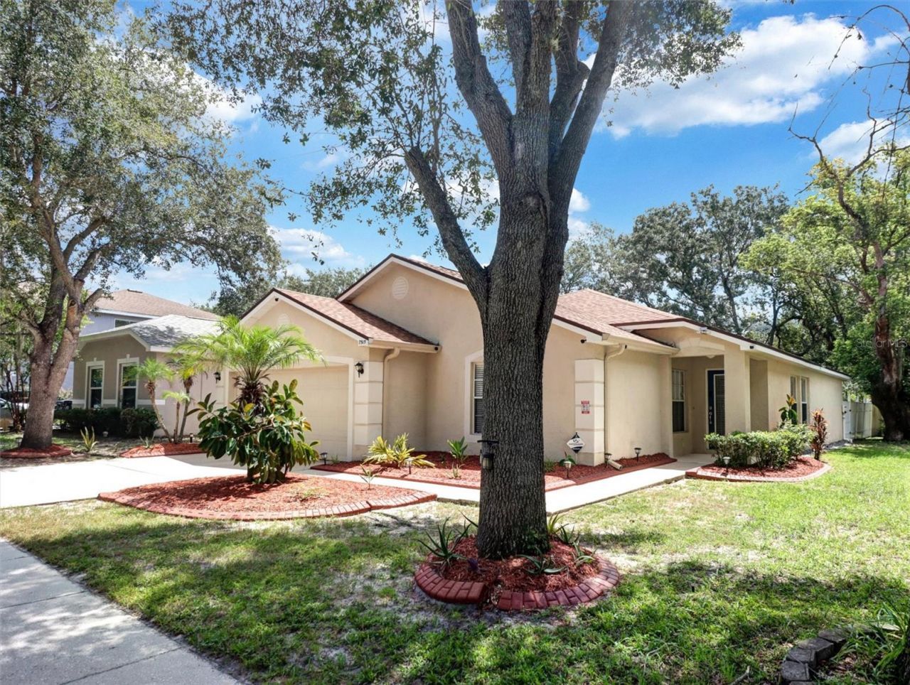 7515 Terrace River Drive, Temple Terrace, FL 33637 Photo