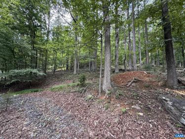 1283 RODES VALLEY DR , Nellysford, VA 22958